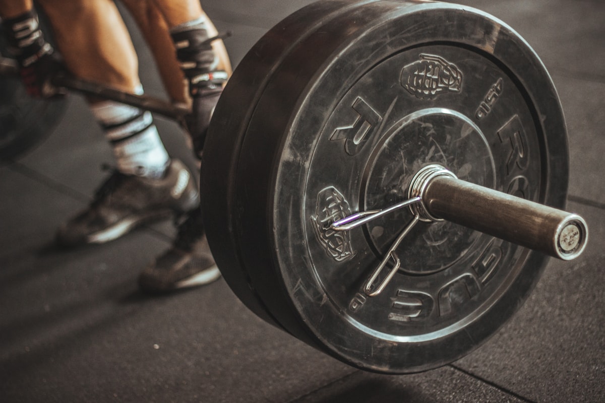 Professional gym equipment setup
